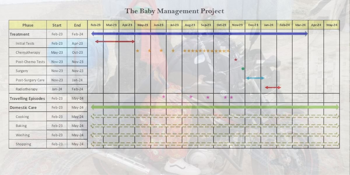 The Baby Management Project Gantt Chart