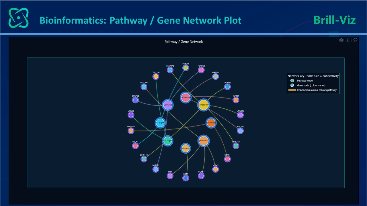 Pathway / Gene Network