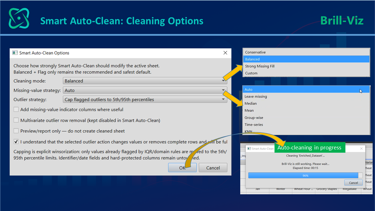 Data Cleaning Options in Smart Auto-Clean